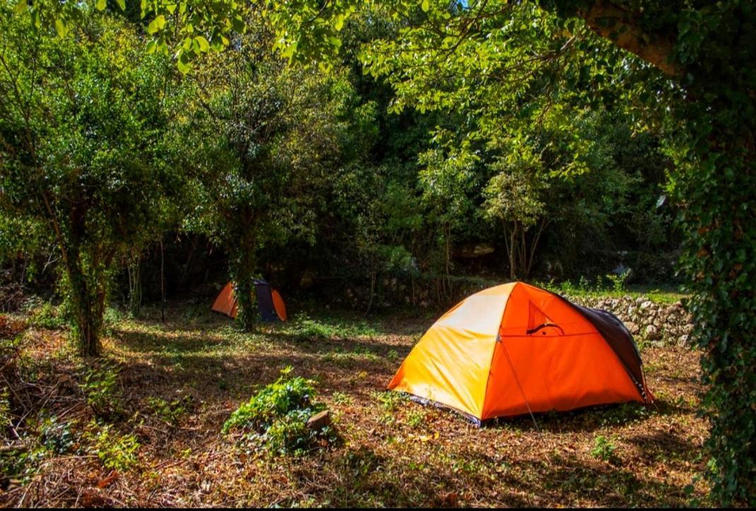 Auto Camp Radoman Hotel Virpazar Eksteriør billede