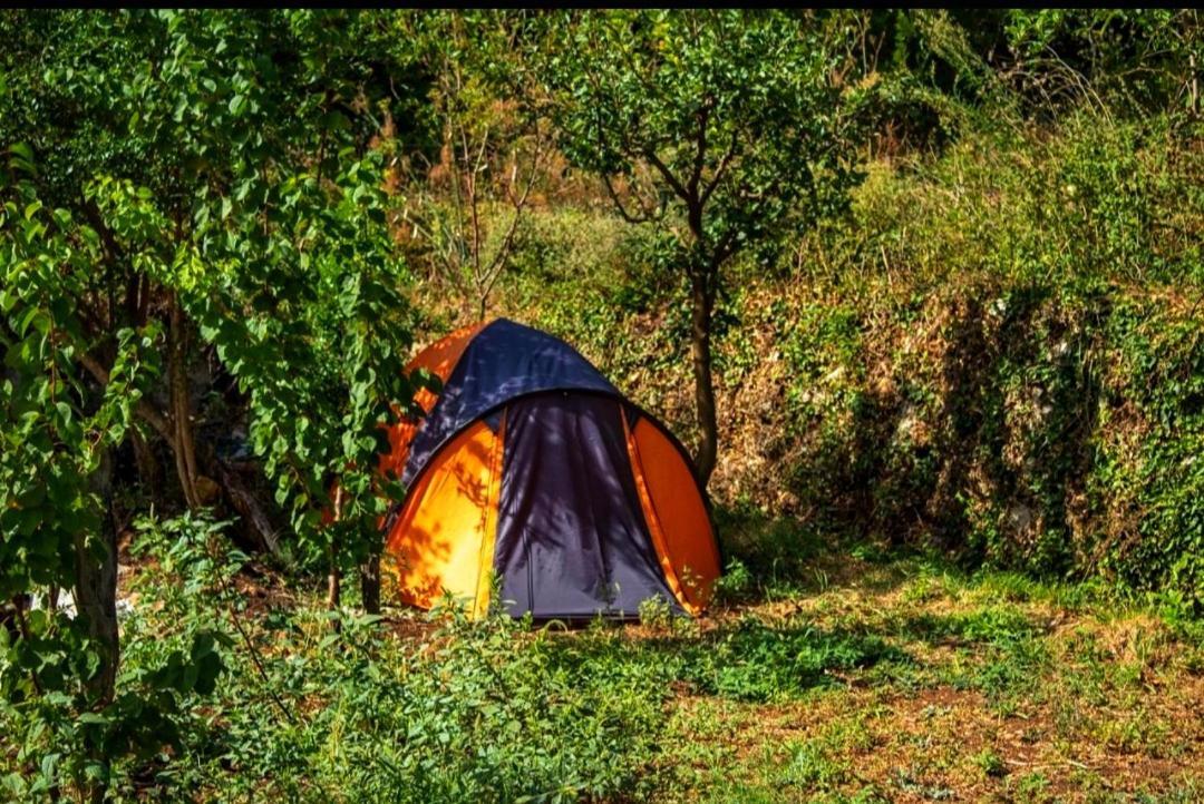Auto Camp Radoman Hotel Virpazar Eksteriør billede